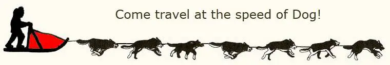 Come travel at the speed of Dog!