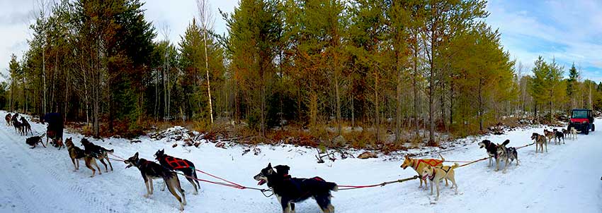 BWCA sled dog trip