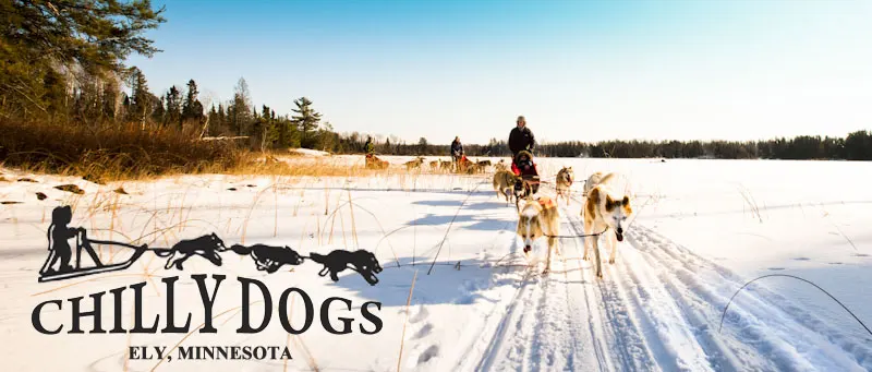 Welcome to Chilly Dogs Sled Dog Trips!