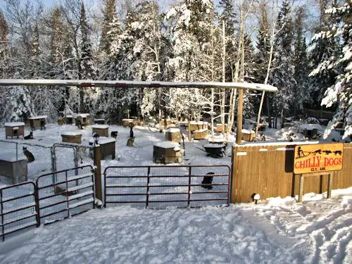 Chilly Dogs' kennel