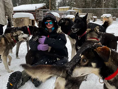 Alaskan Huskies love what they do!