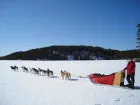 750-lb. freight sled-mostly dog food!