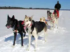 Sasha and Noromi lead Basswood Lake Day Trip