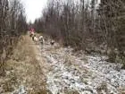 Fall Training.