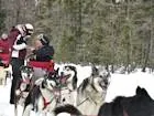 I propose a dog sled trip.