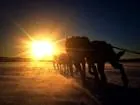 A run into the sun is fun!